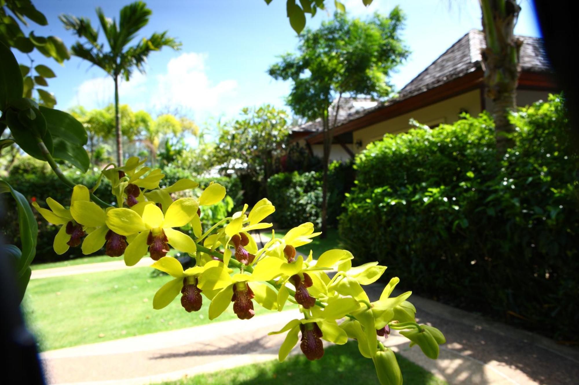 Pai Tan Villas - Sha Extra Plus Strand Bang Tao Exterior foto